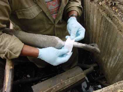 Cleaning lead with TR-1® non-flash solvent wipe.